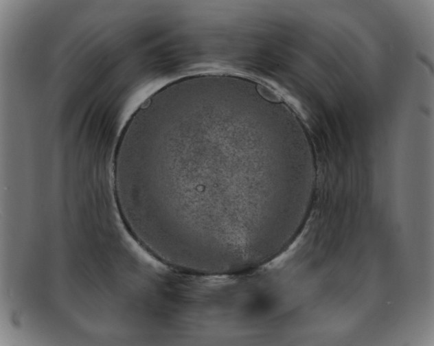 X0000092041239200709121147