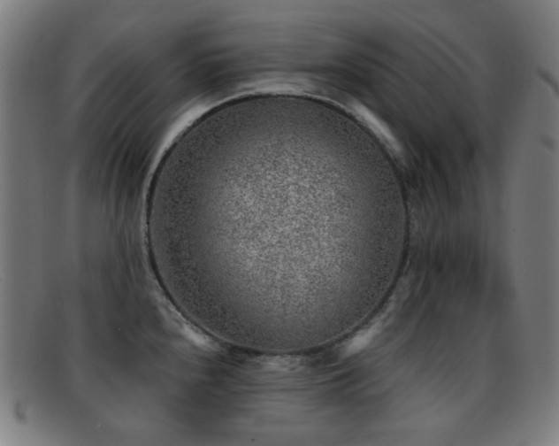 X0000092041240200709121147