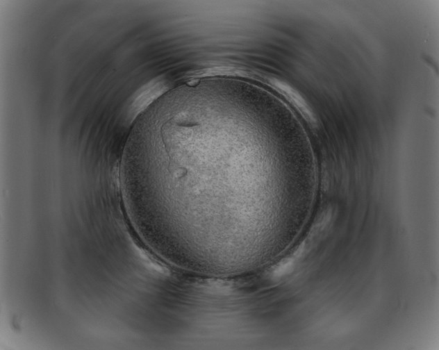 X0000092041241200709121147
