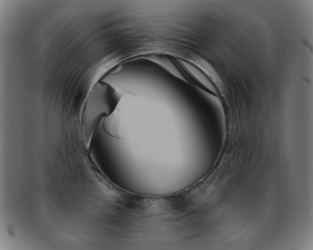 X0000092041242200709121147