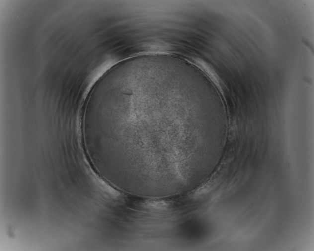 X0000092041243200709121147
