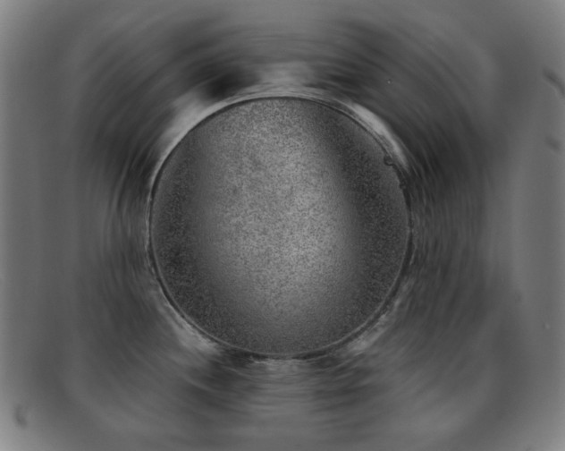 X0000092041244200709121147