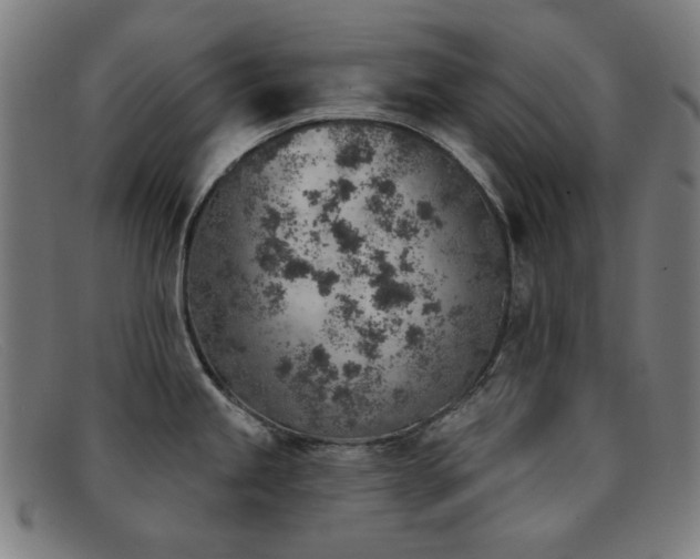 X0000092041245200709121147