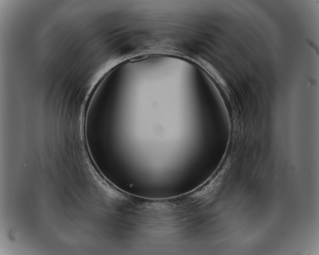 X0000092041246200709121147