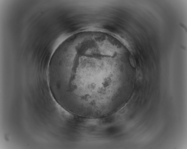 X0000092041247200709121147
