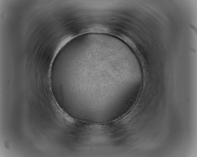 X0000092041248200709121147