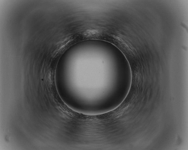 X0000092041250200709121147