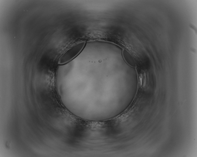 X0000092041251200709121147