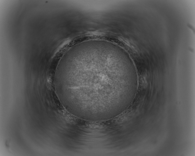 X0000092041254200709121147