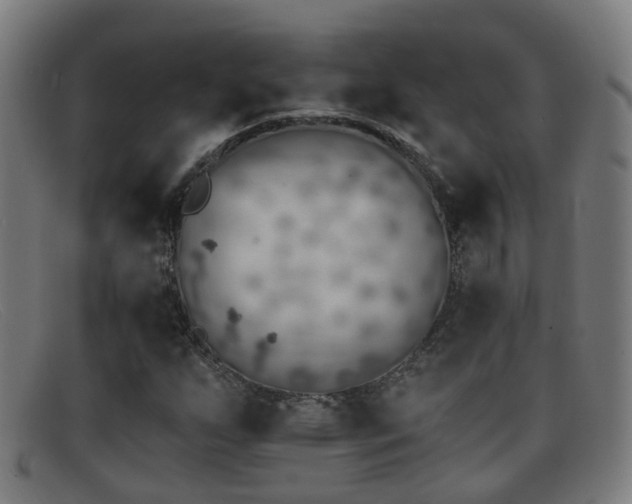 X0000092041255200709121147