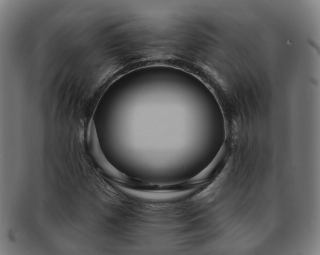 X0000092041257200709121147