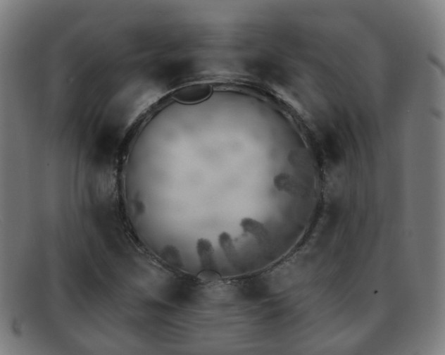 X0000092041259200709121147