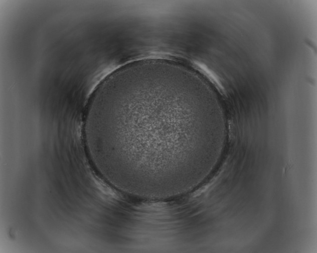 X0000092041260200709121147