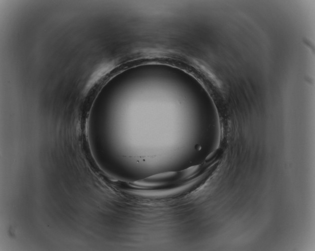 X0000092041261200709121147