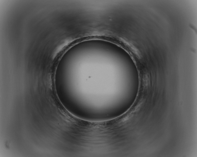 X0000092041262200709121147