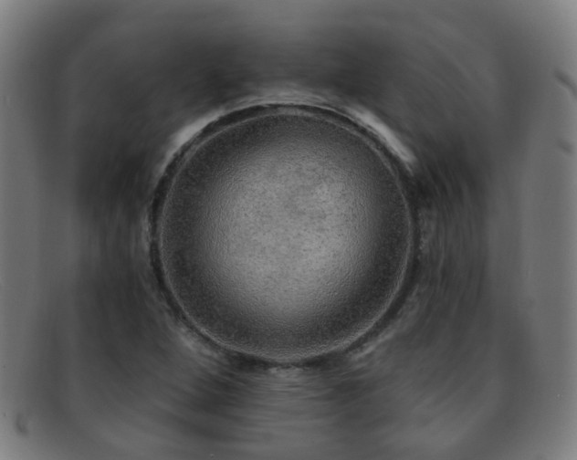 X0000092041264200709121147