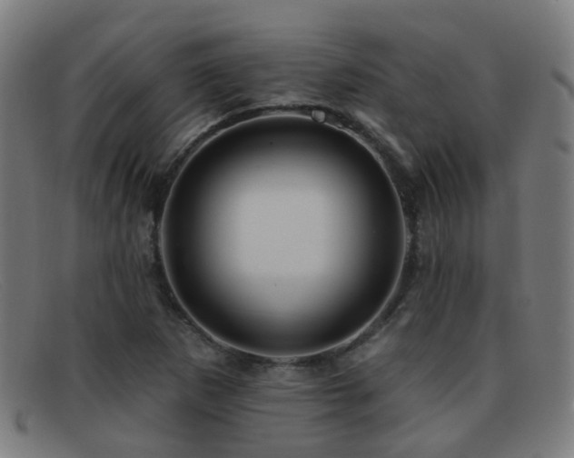 X0000092041265200709121147
