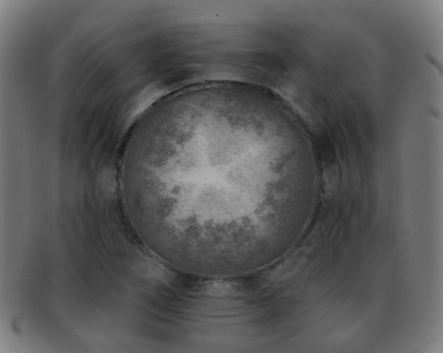X0000092041266200709121147
