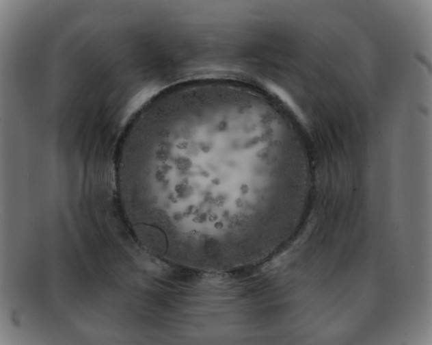 X0000092041267200709121147