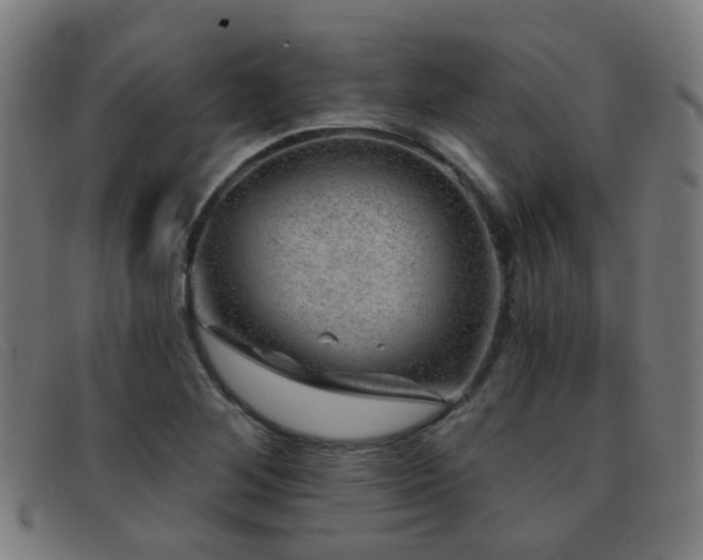 X0000092041268200709121147