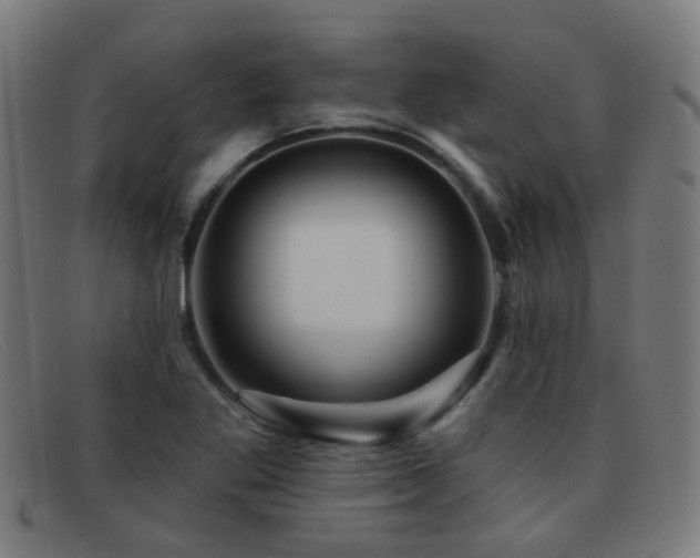 X0000092041269200709121147