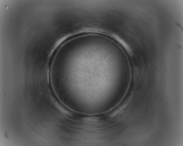 X0000092041272200709121147