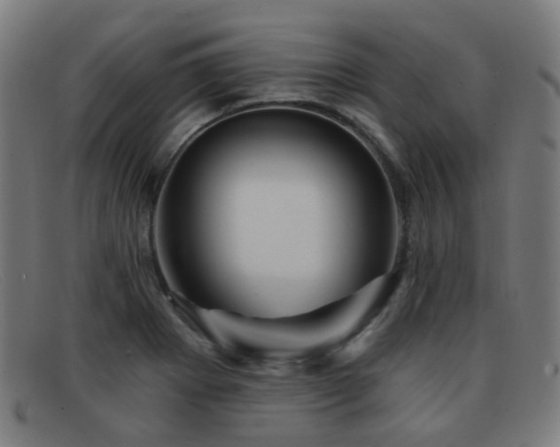 X0000092041273200709121147