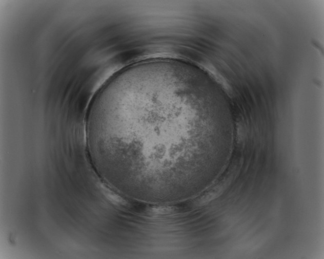X0000092041274200709121147