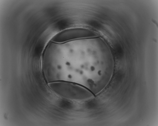X0000092041275200709121147