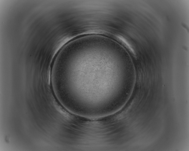 X0000092041276200709121147