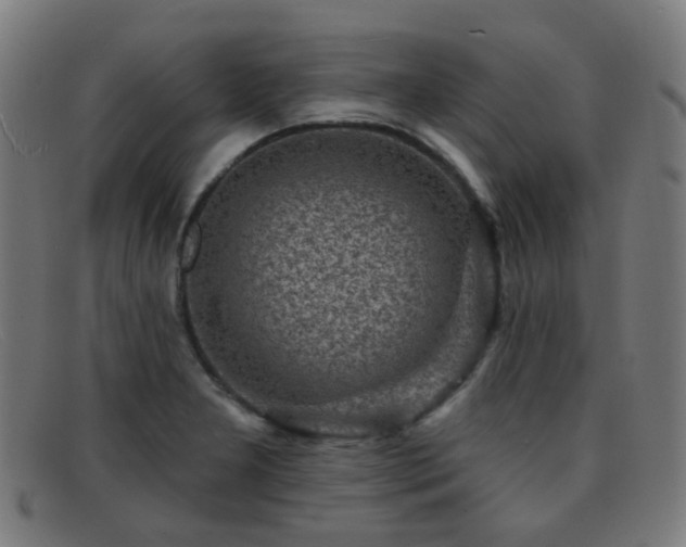 X0000092041277200709121146