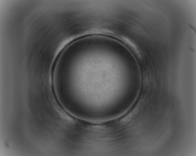 X0000092041280200709121146
