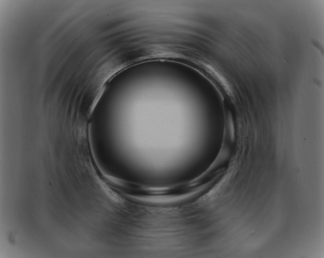 X0000092041281200709121146