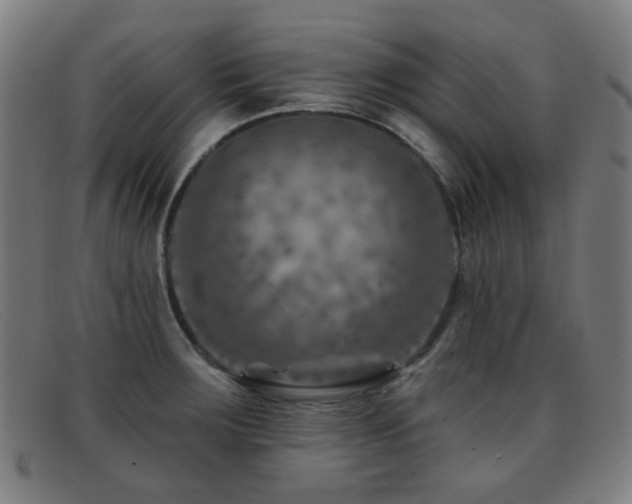 X0000092041283200709121146