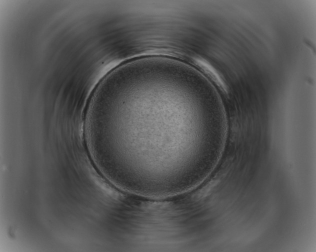 X0000092041284200709121146