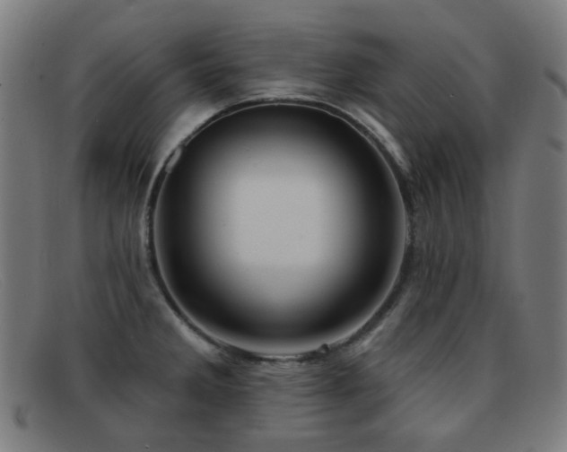 X0000092041285200709121146