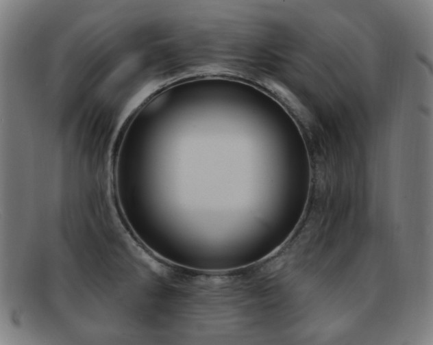 X0000092041286200709121146