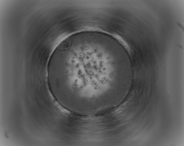 X0000092041287200709121146