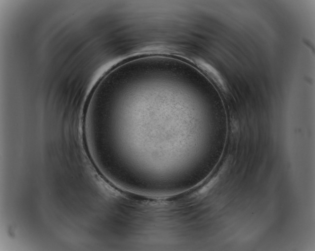 X0000092041288200709121146