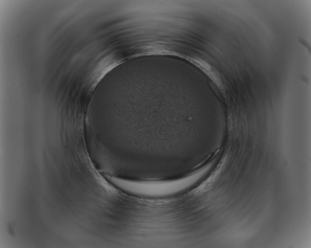 X0000092041289200709121146