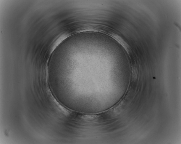 X0000092041290200709121146