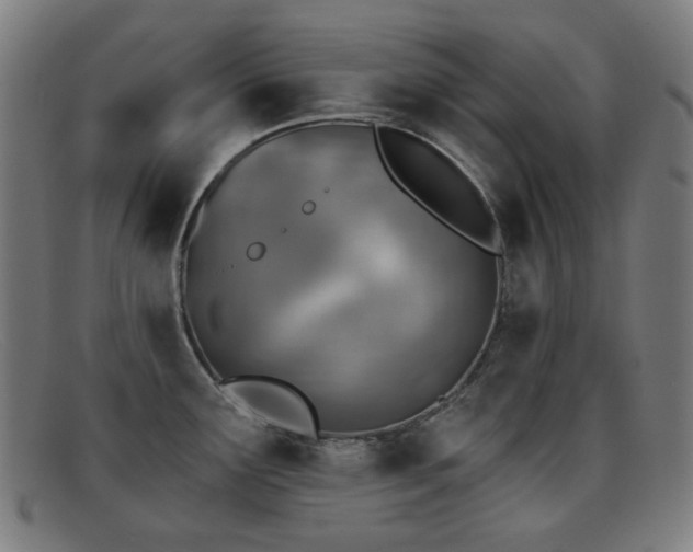 X0000092041291200709121146