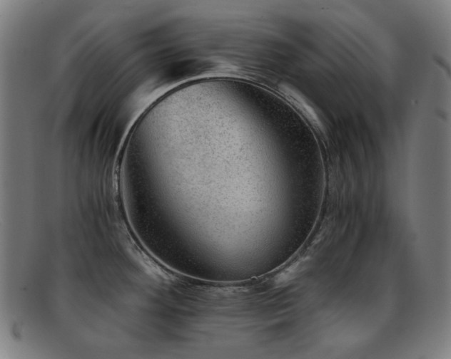 X0000092041292200709121146