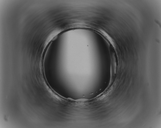 X0000092041293200709121146