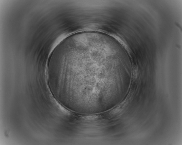 X0000092041294200709121146