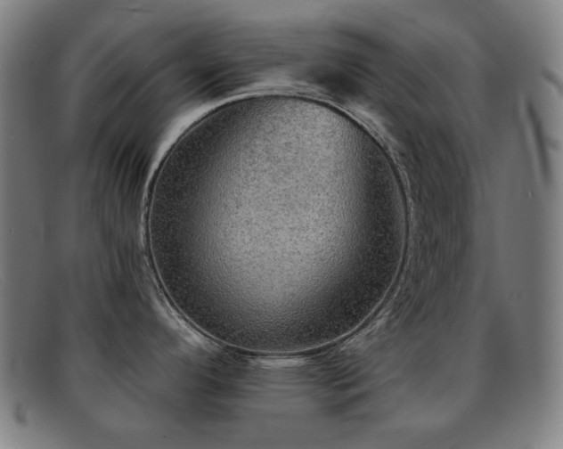 X0000092041296200709121146