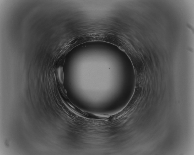 X0000092041298200709121146