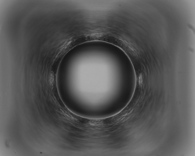 X0000092041299200709121146