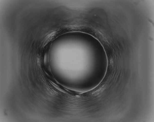 X0000092041300200709121146