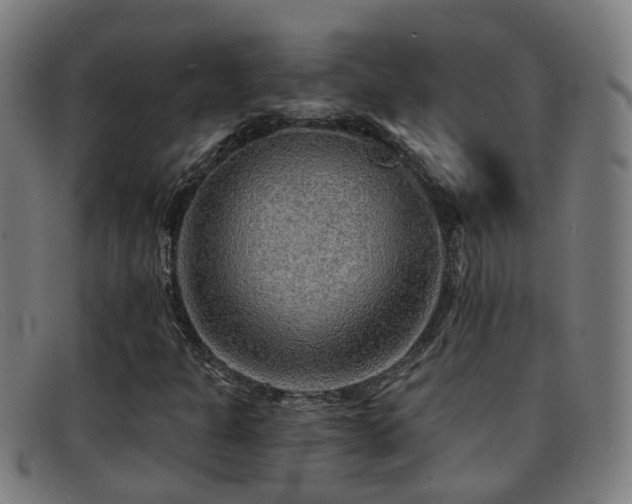 X0000092041301200709121146